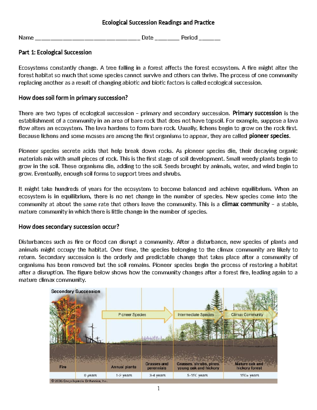 Ecological Succession Worksheet Readings U0026 Practice Guide Studocu
