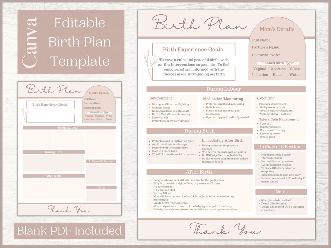 Editable Birth Plan Template Printable Birthing Plan Labour And Delivery Preferences Template Etsy