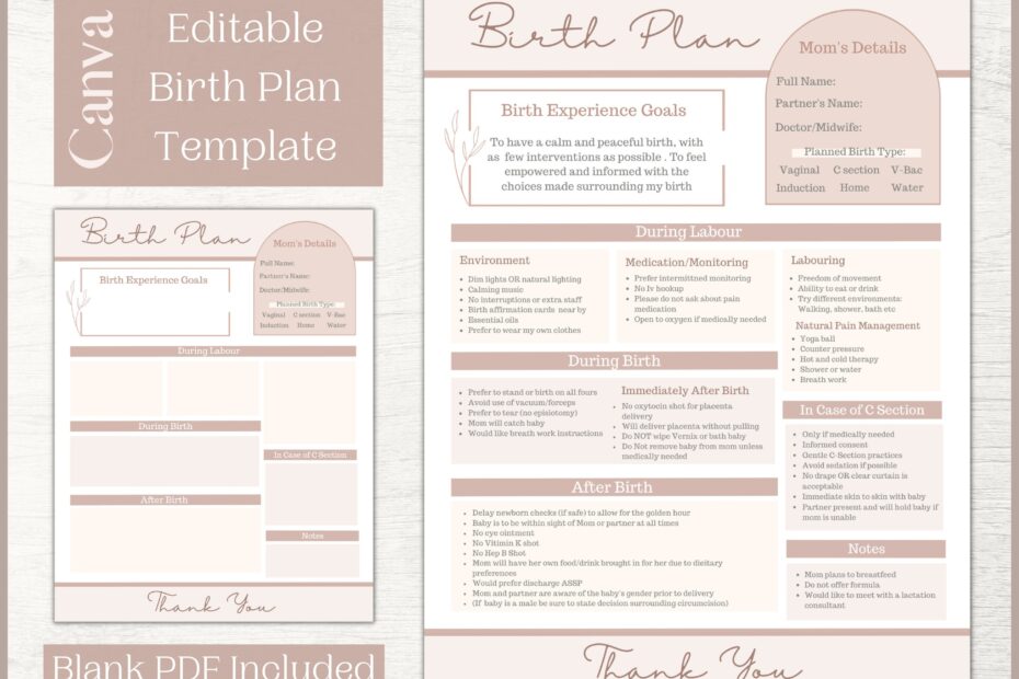 Editable Birth Plan Template Printable Birthing Plan Labour And Delivery Preferences Template Etsy
