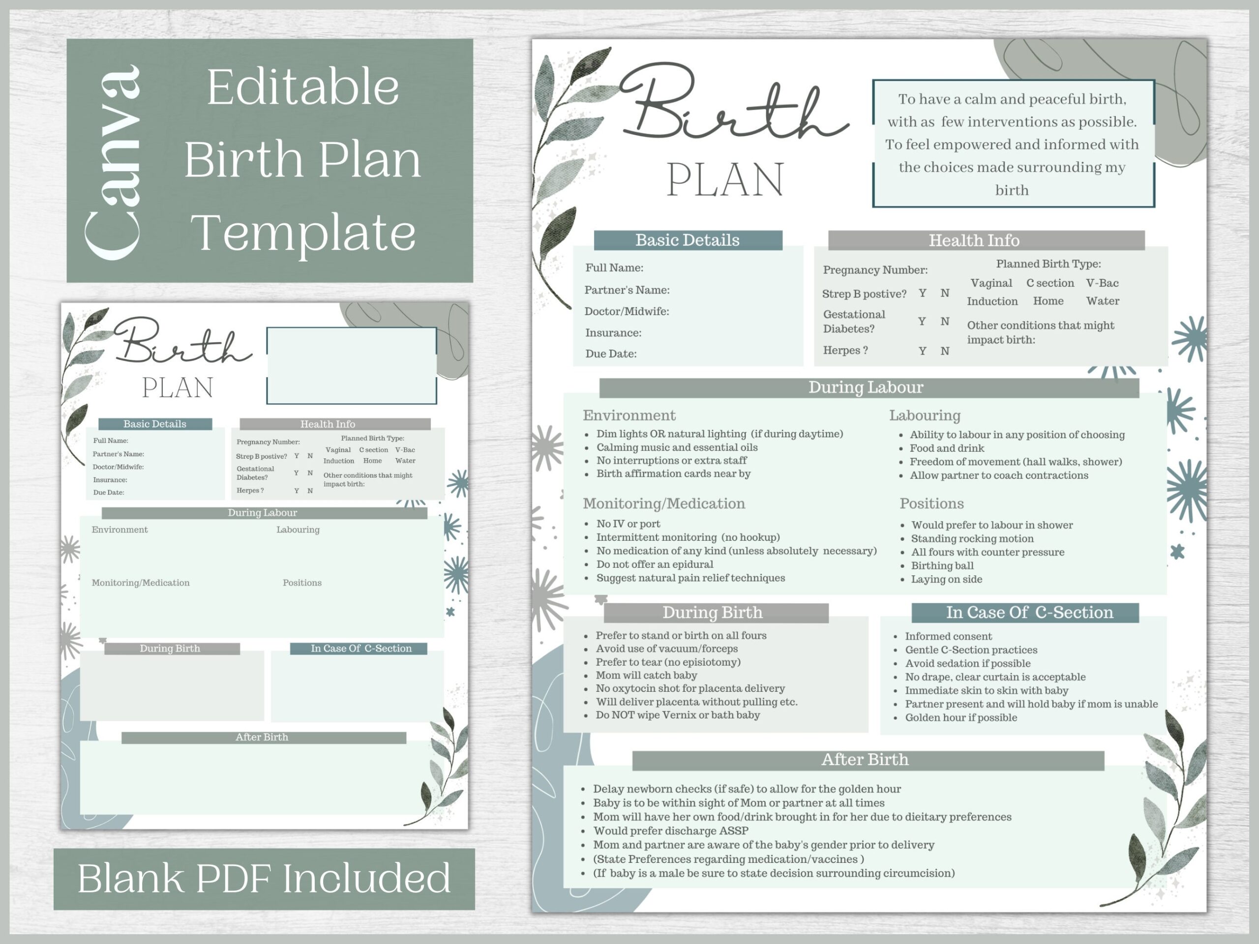detailed birth plan template
