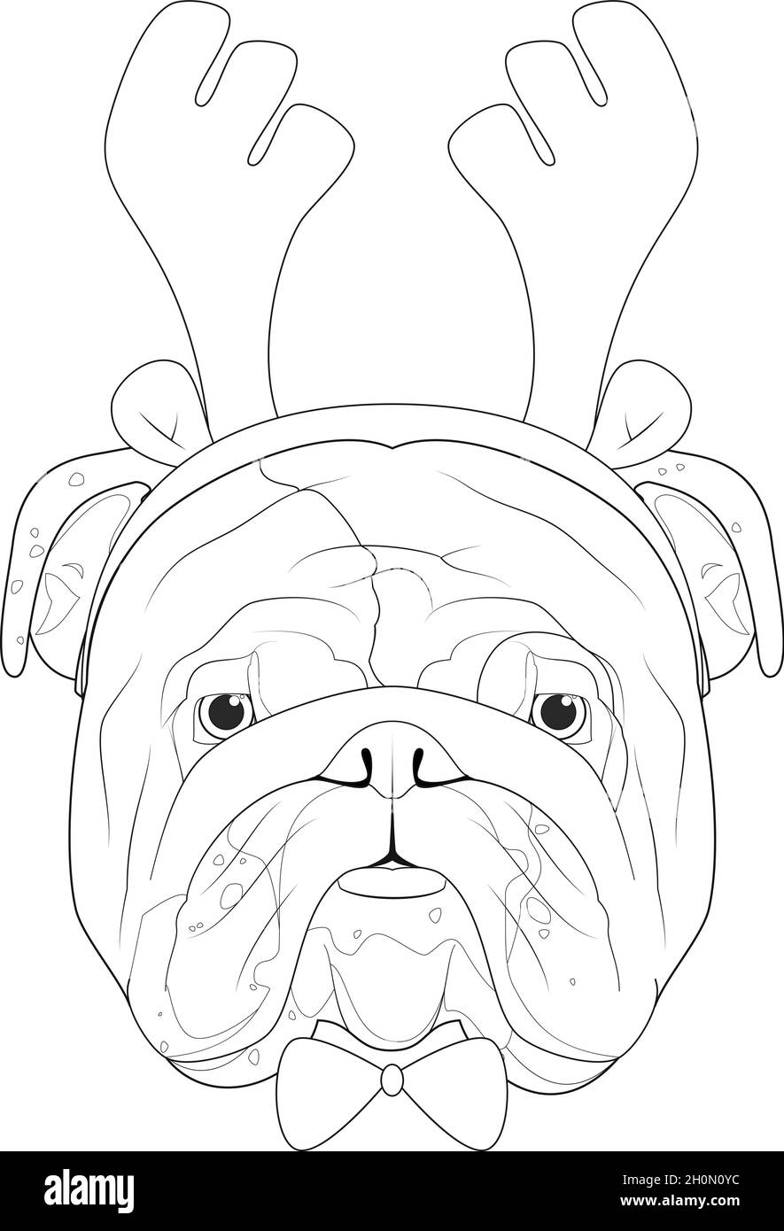 English Bulldog Dog Cartoon Coloring Hi res Stock Photography And 
