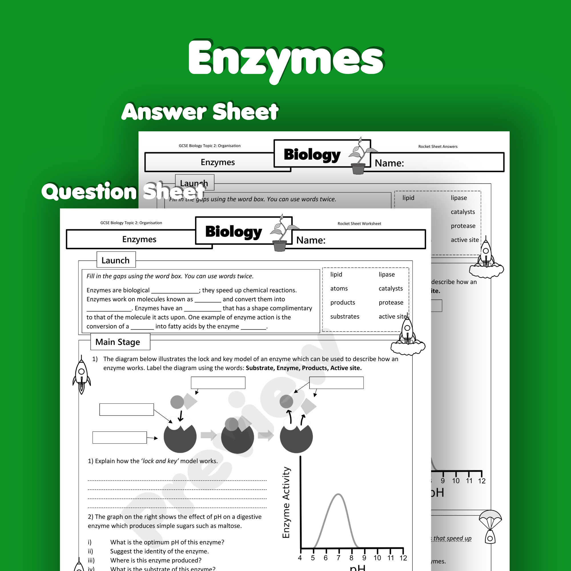 Enzymes Home Learning Worksheet GCSE