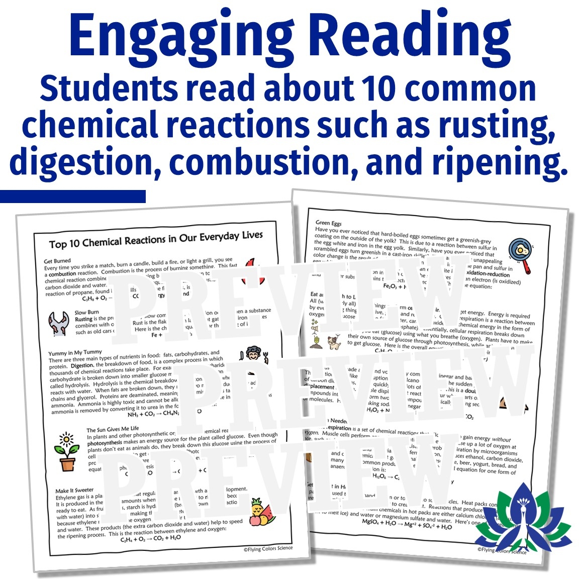 Everyday Chemical Reactions Reading And Worksheet Flying Colors 