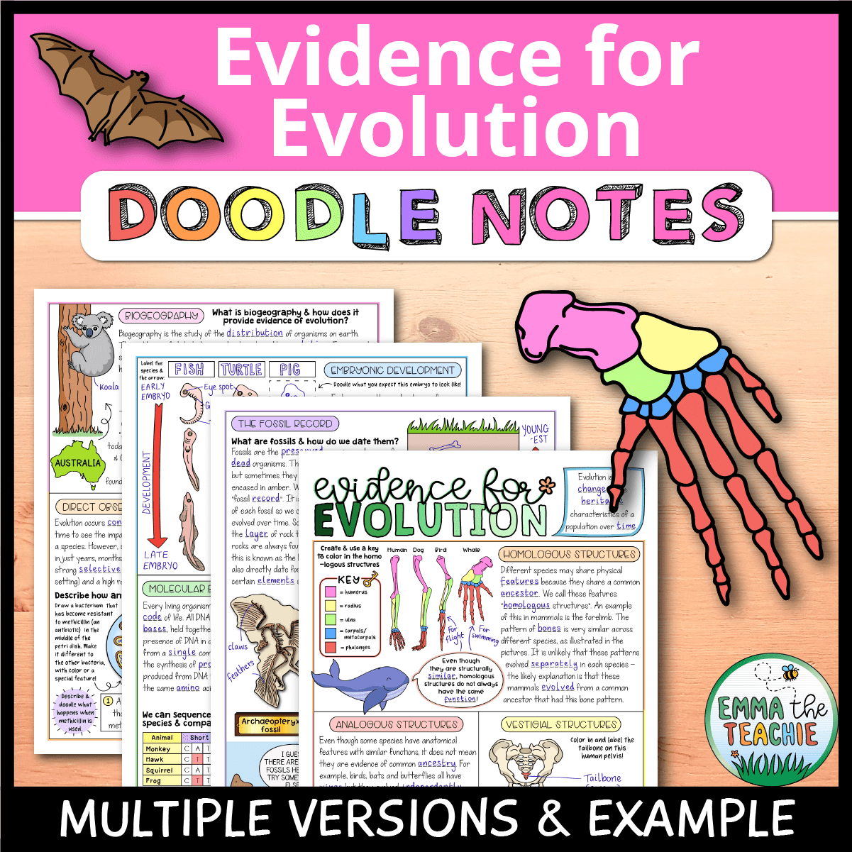 Evidence For Evolution Doodle Notes