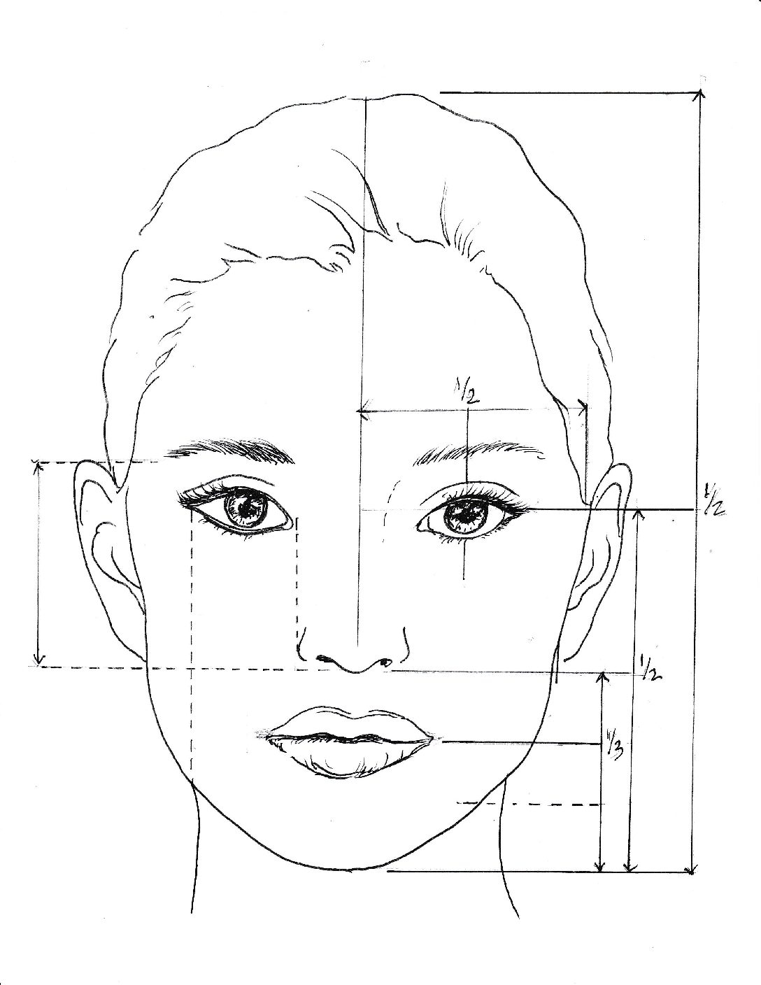 face proportions worksheet