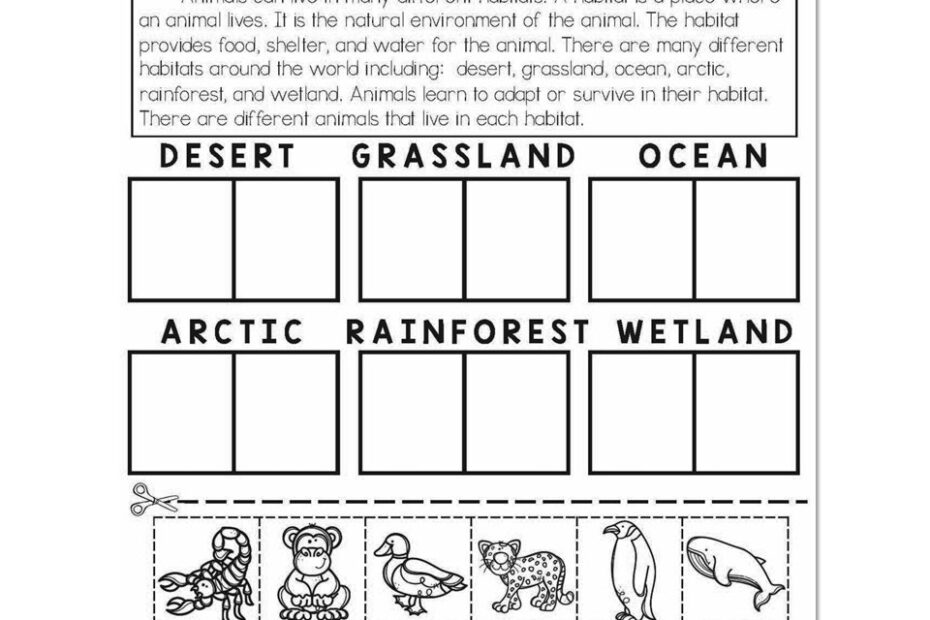 Fall Early Finishers 2nd Grade Science Animal Habitats