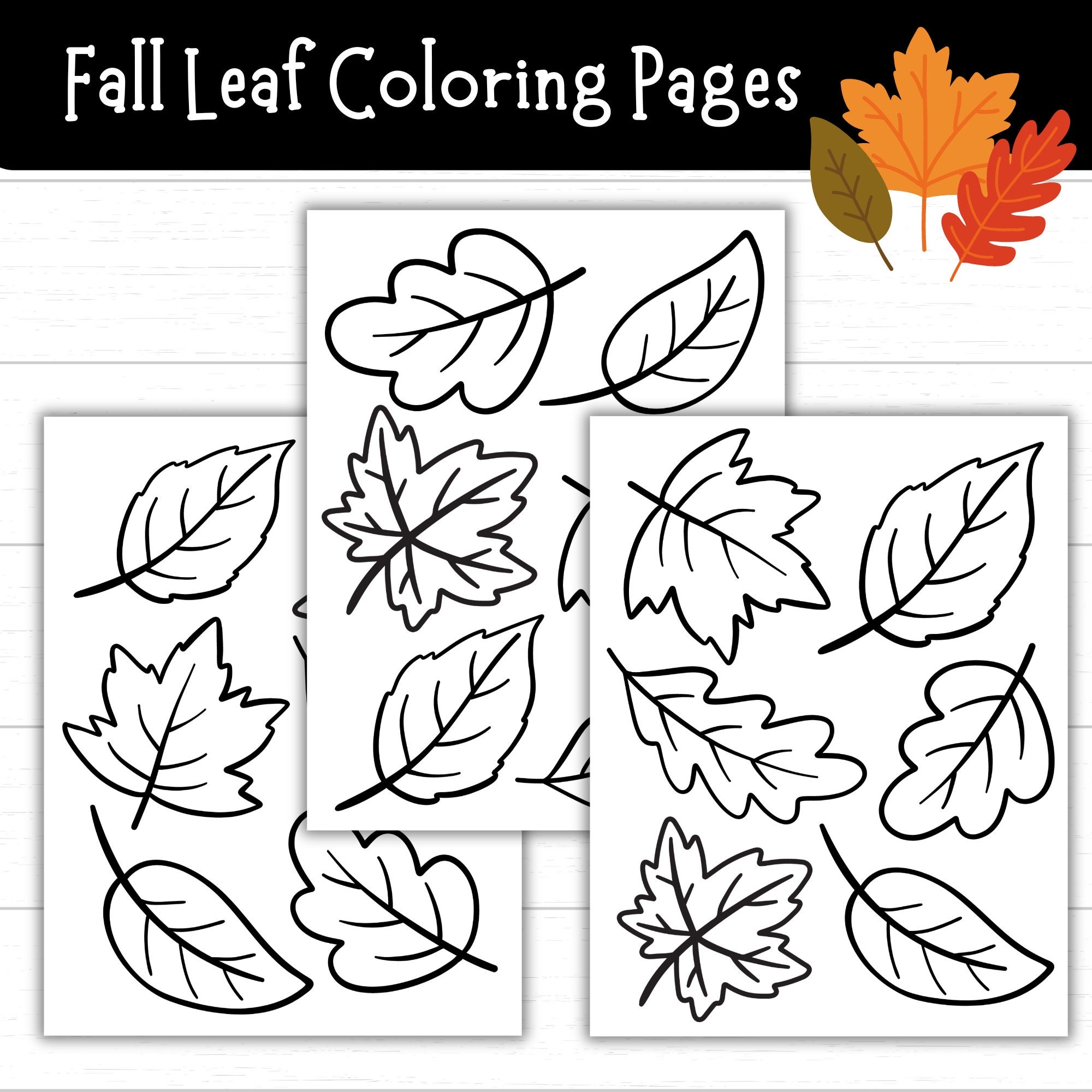 leaf coloring worksheet