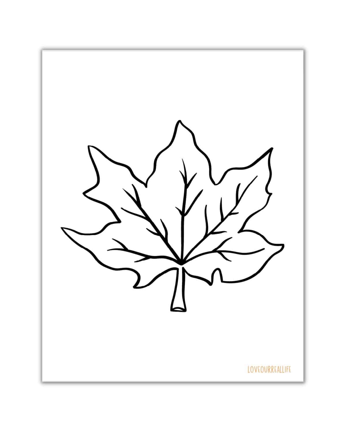 leaf coloring pages printable