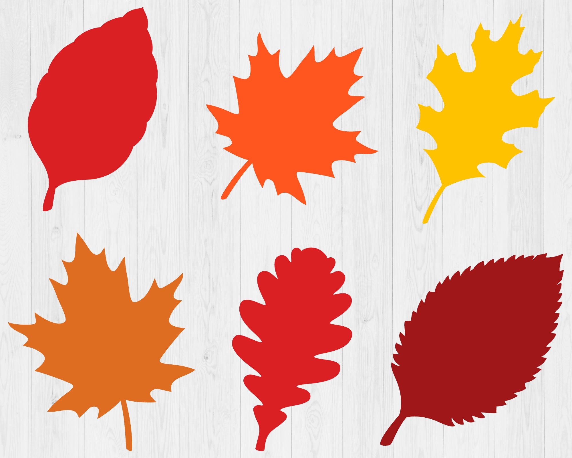 Fall Leaves Svg Bundle Printable Fall Svg Thanksgiving Svg Autumn Svg Silhouette Fall Leaf Svg Leaves Svg Digital Download Cut File Etsy