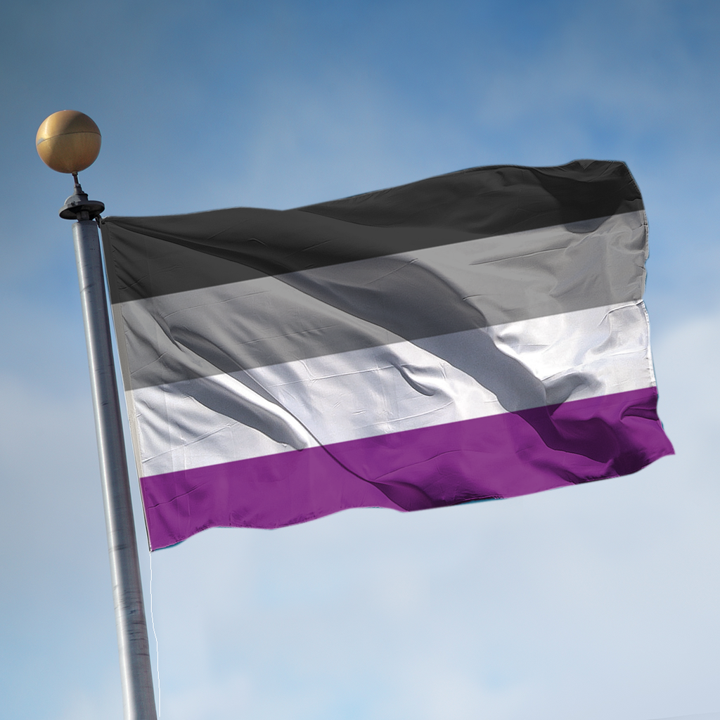 Favorite Pride Flag Asexual Musings And Rantings Asexual 