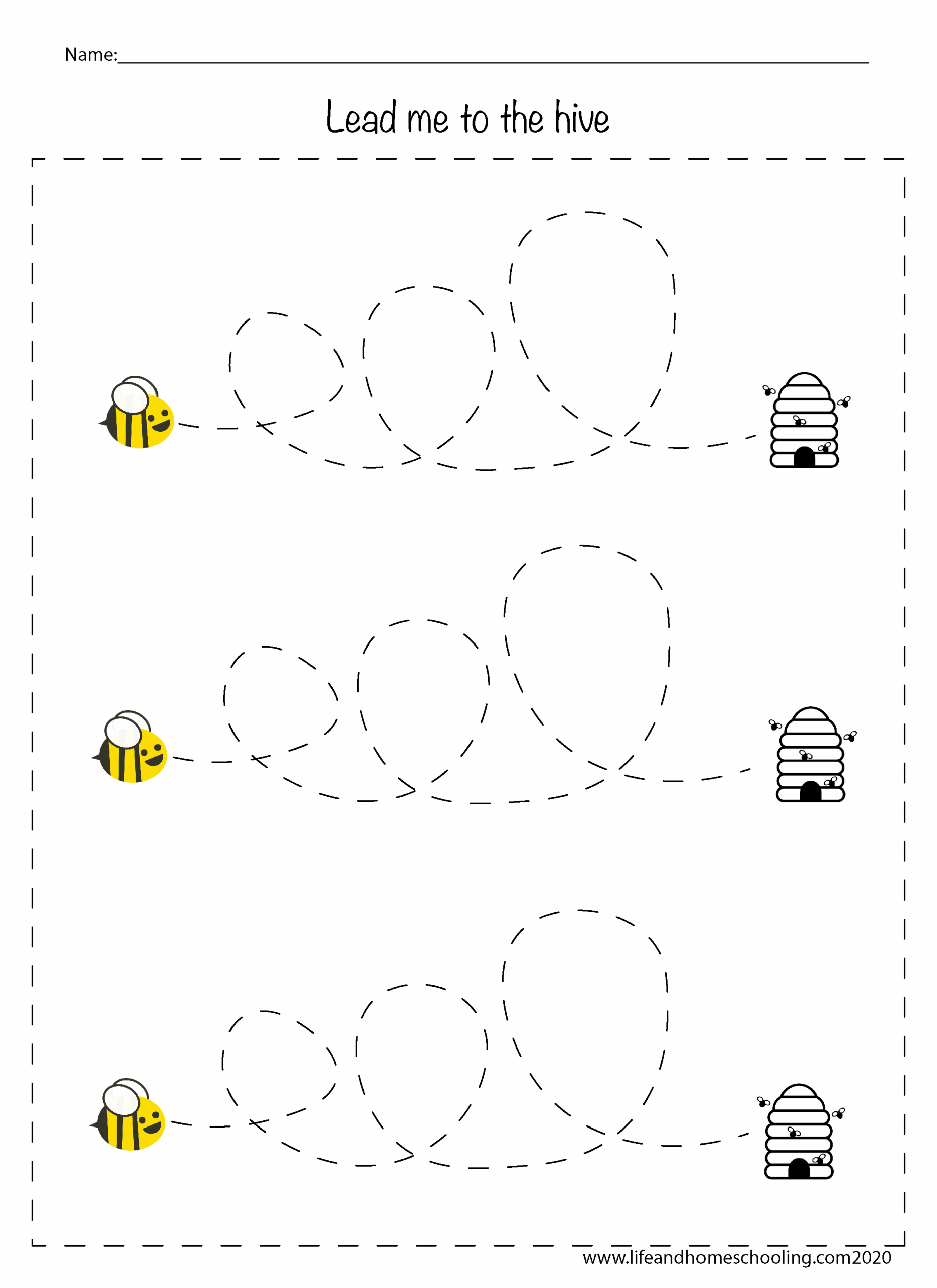 Fine Motor Skills Activity Worksheets