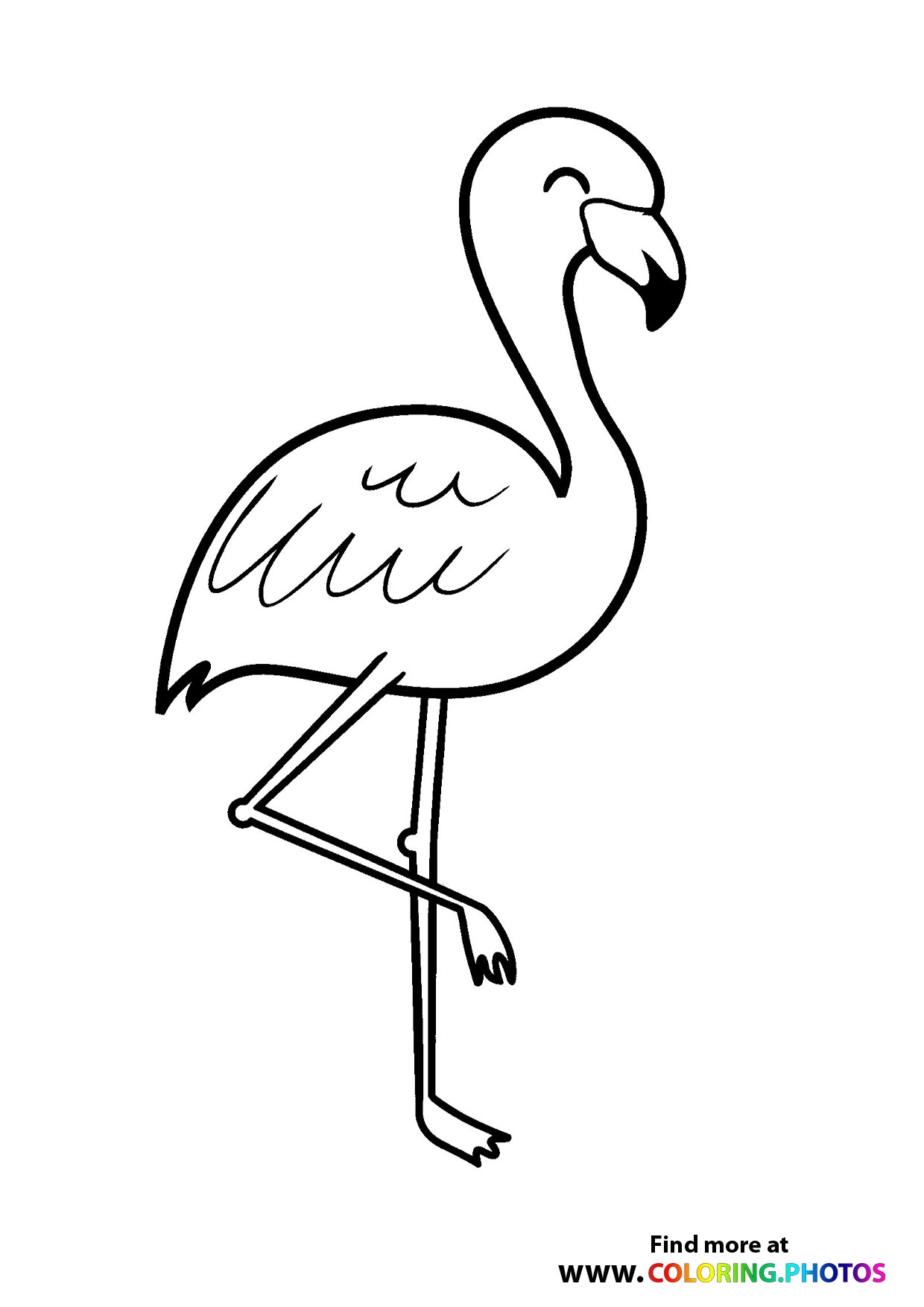 Flamingos Coloring Pages For Kids