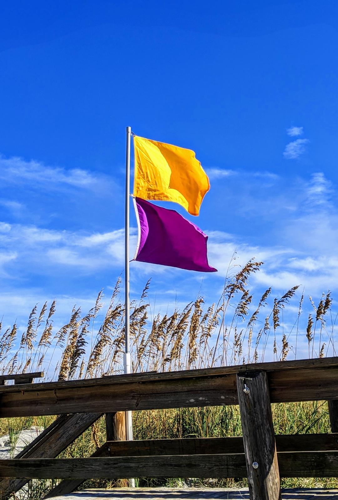 colored flags at the beach