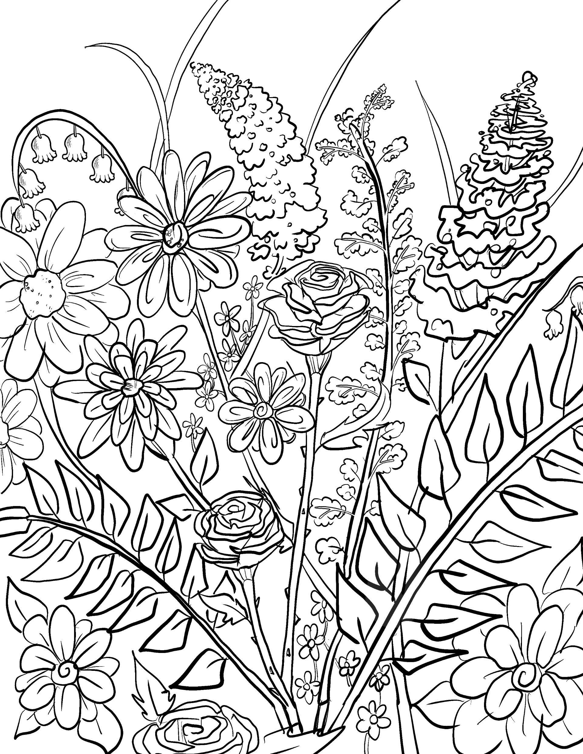 coloring sheet printable