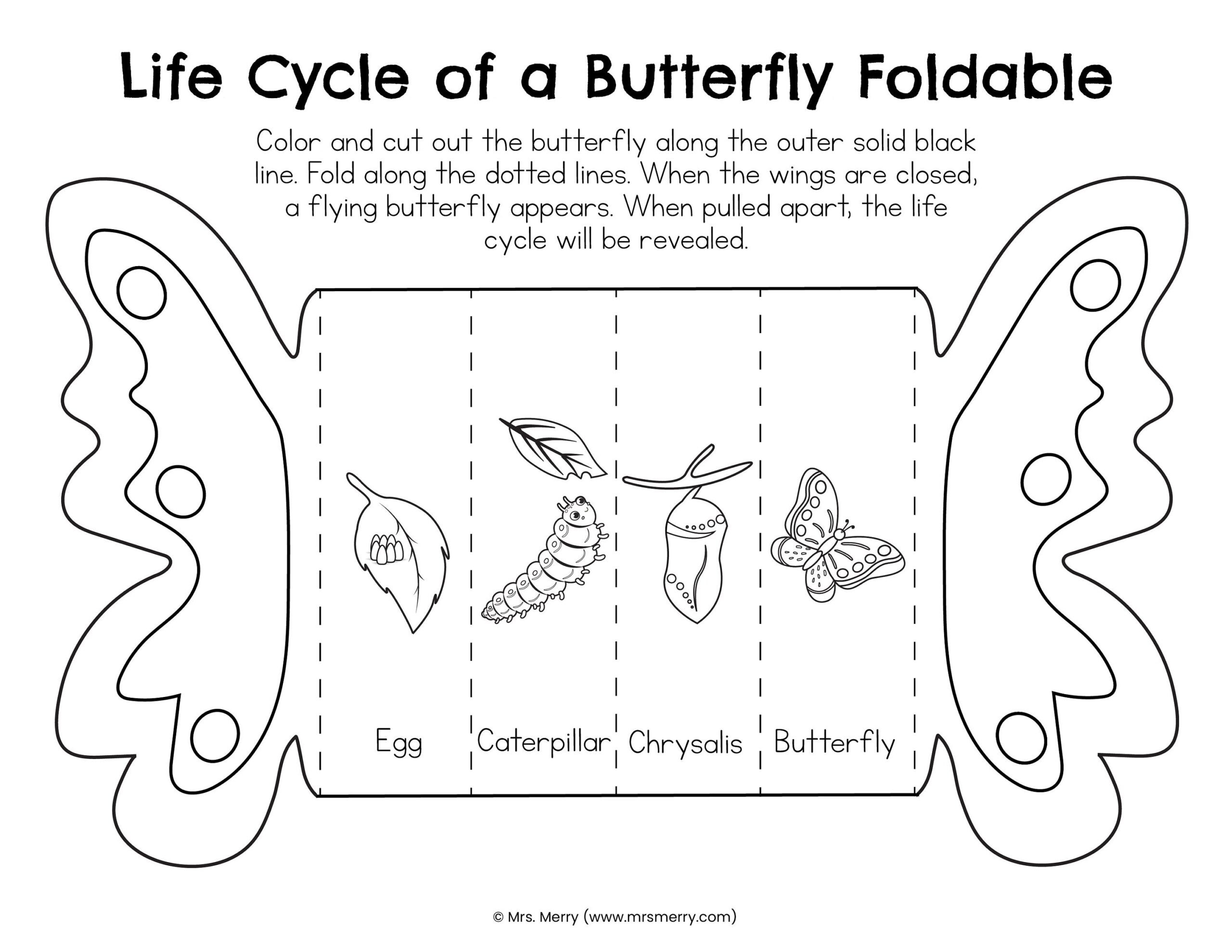 life cycle of butterfly printable