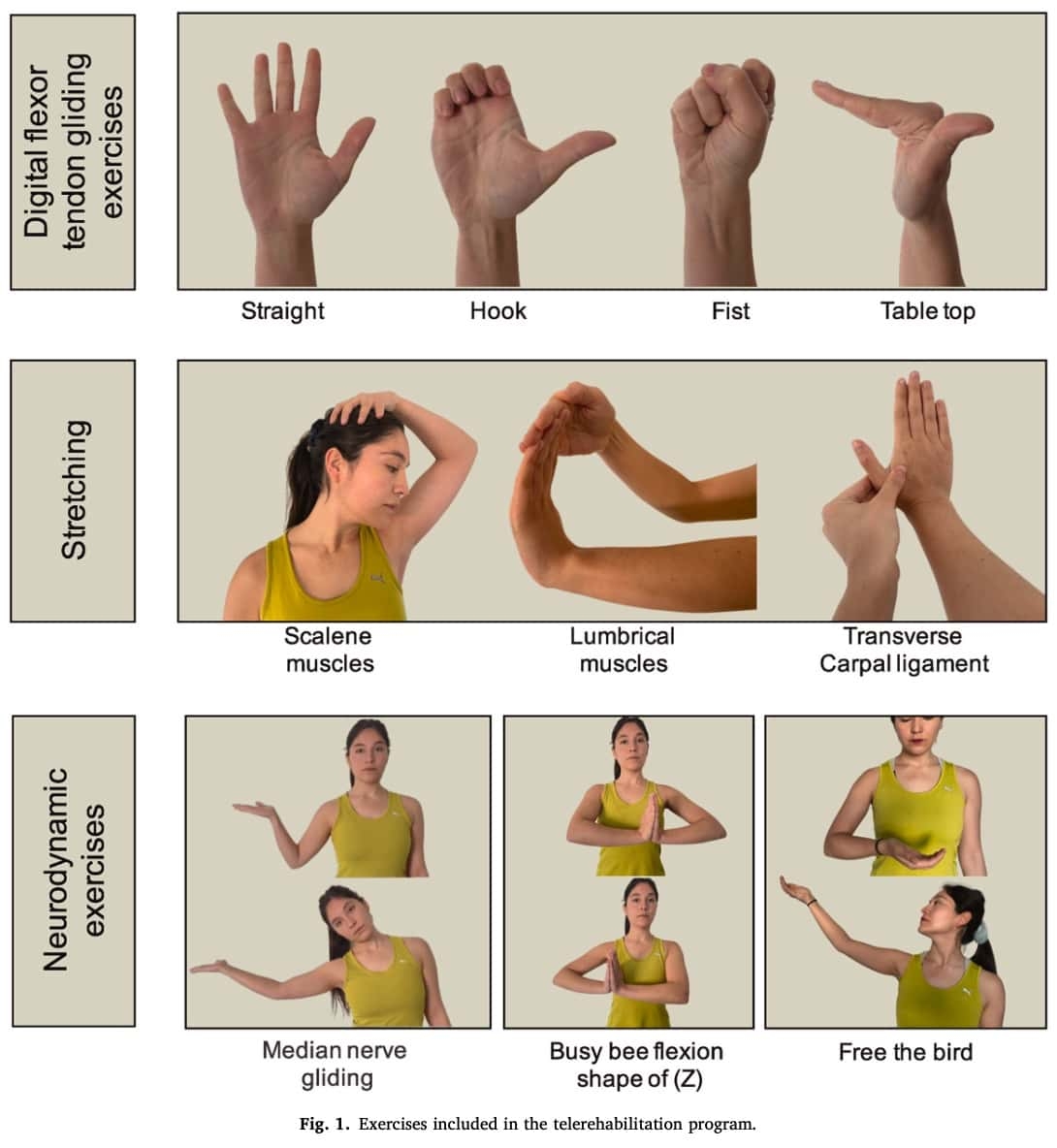 carpal tunnel exercises printable