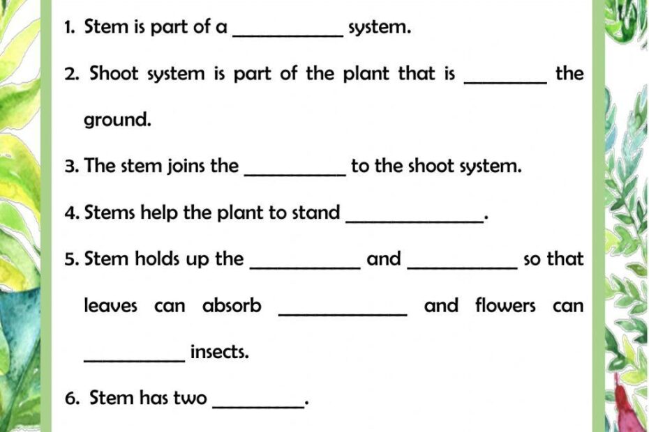 Free 8th Grade Plant Worksheet Download Free 8th Grade Plant Worksheet Png Images Free Worksheets On Clipart Library