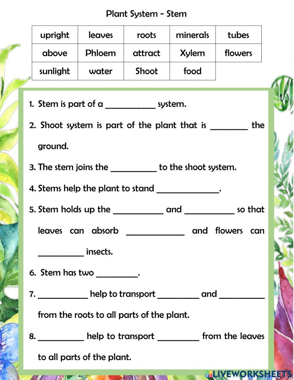 Free 8th Grade Plant Worksheet Download Free 8th Grade Plant Worksheet Png Images Free Worksheets On Clipart Library
