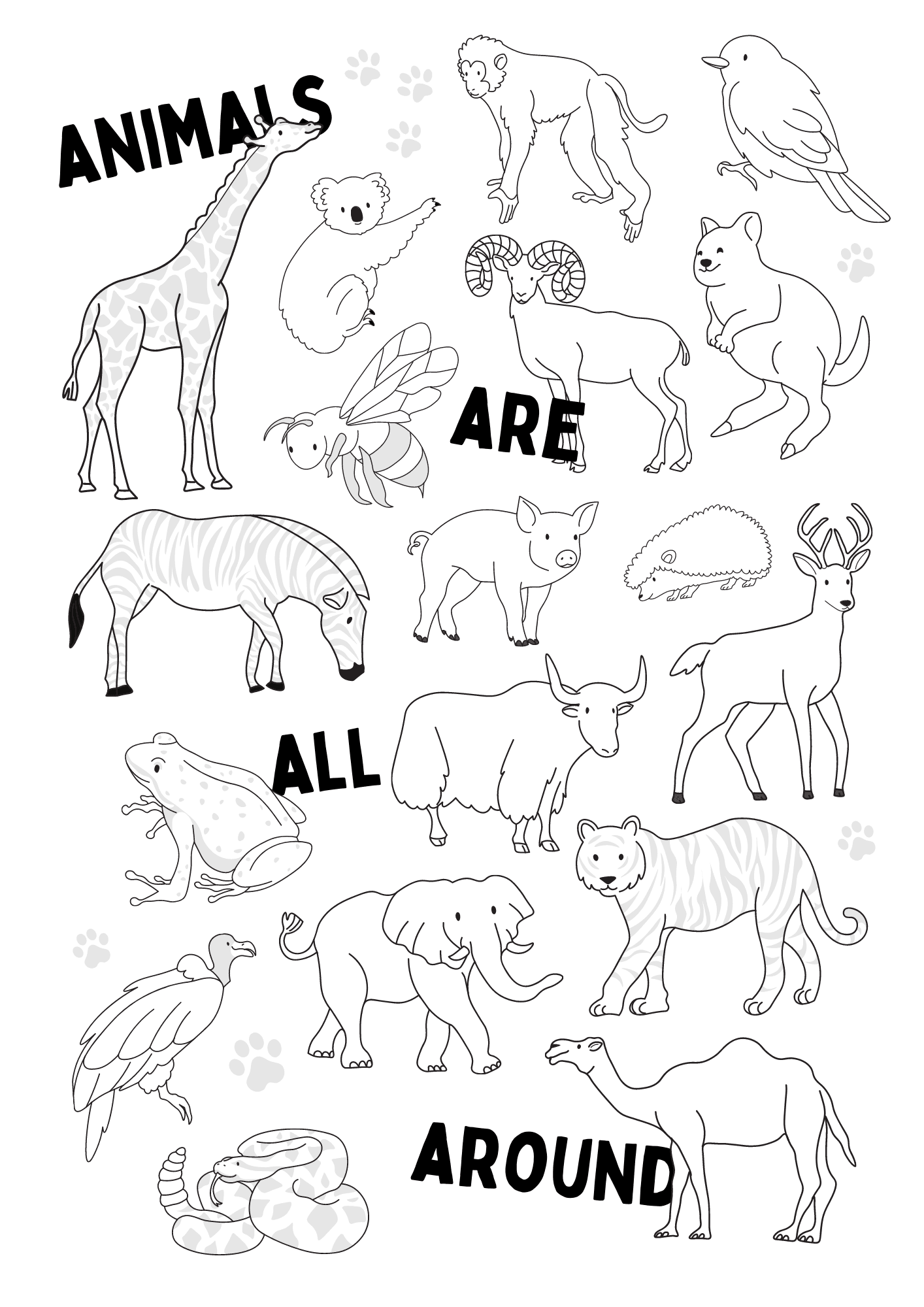 printable coloring sheets animals
