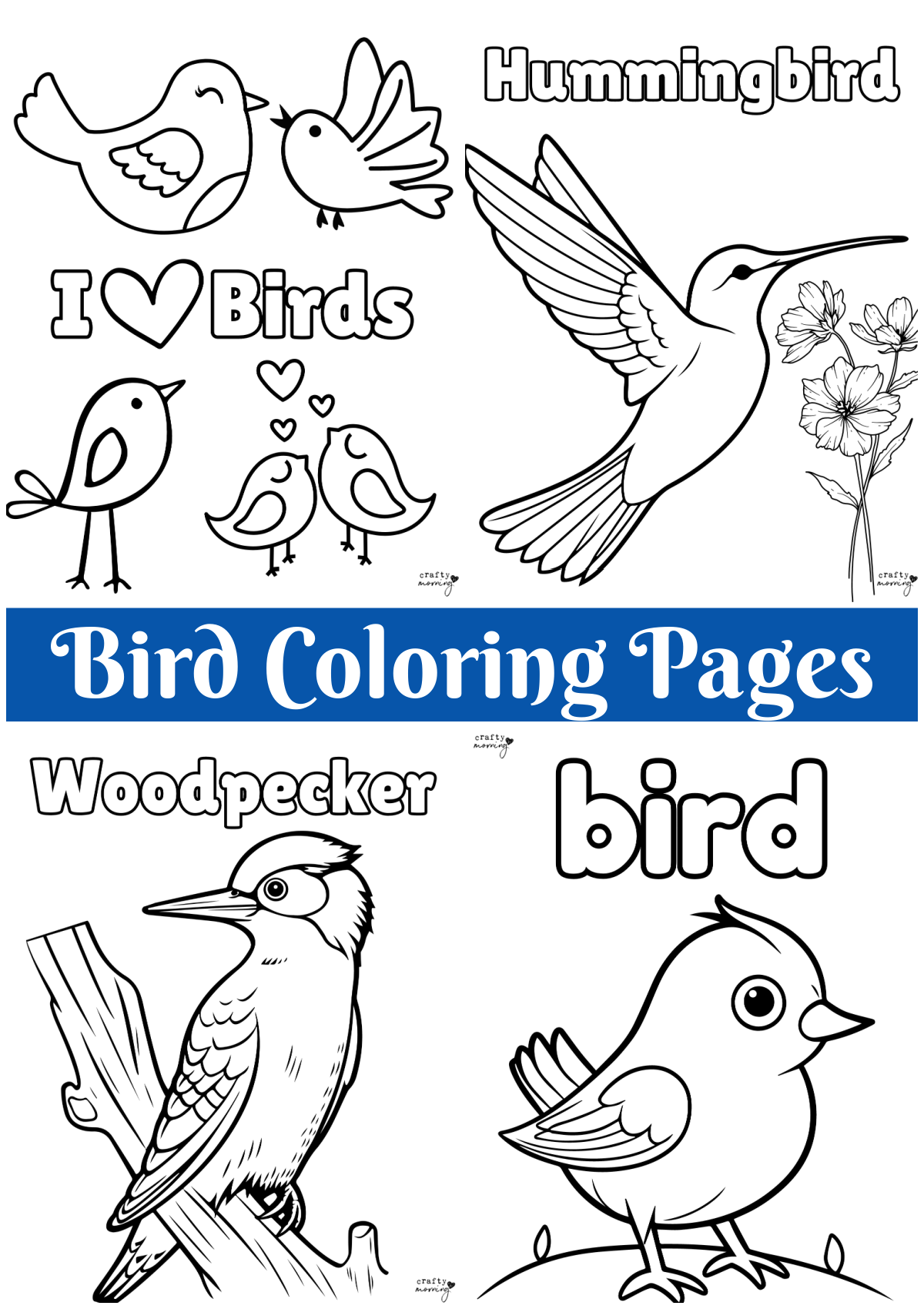 printable pictures of birds to color