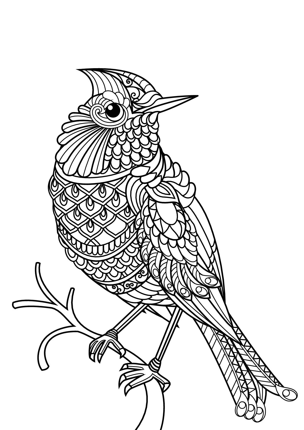 printable coloring pages birds