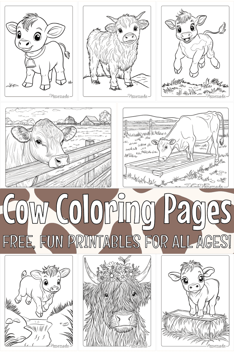 Free Cow Coloring Pages For Kids U0026 Adults PDF Printables 