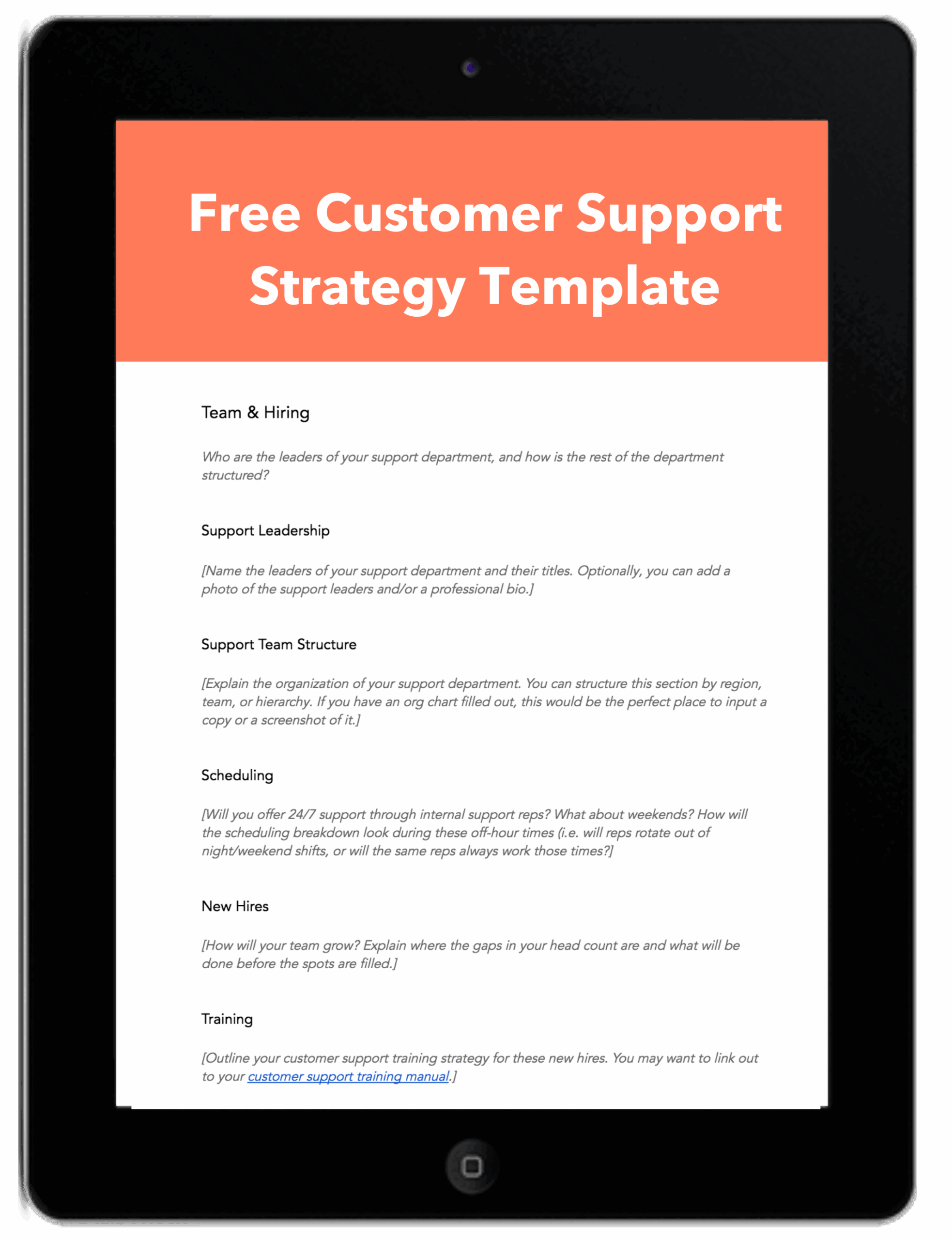 Free Customer Support Strategy Template Download Now