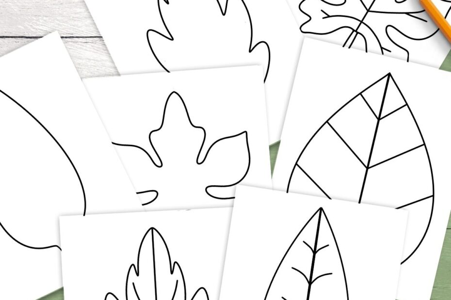 Free Leaf Templates U0026 Outlines Tons Of Printables