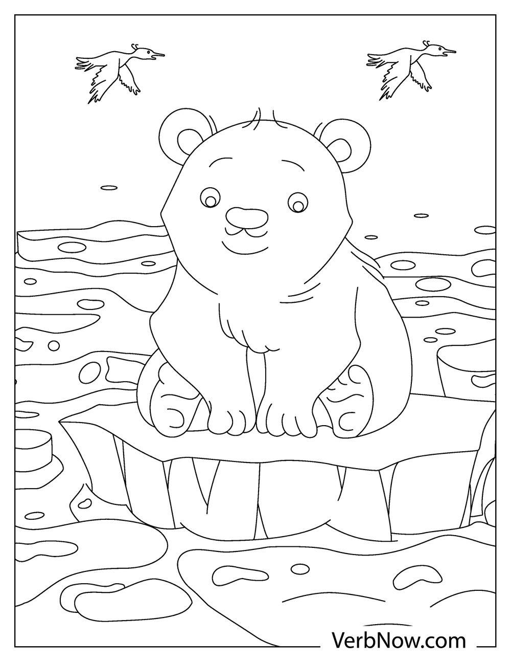 coloring pages polar bear