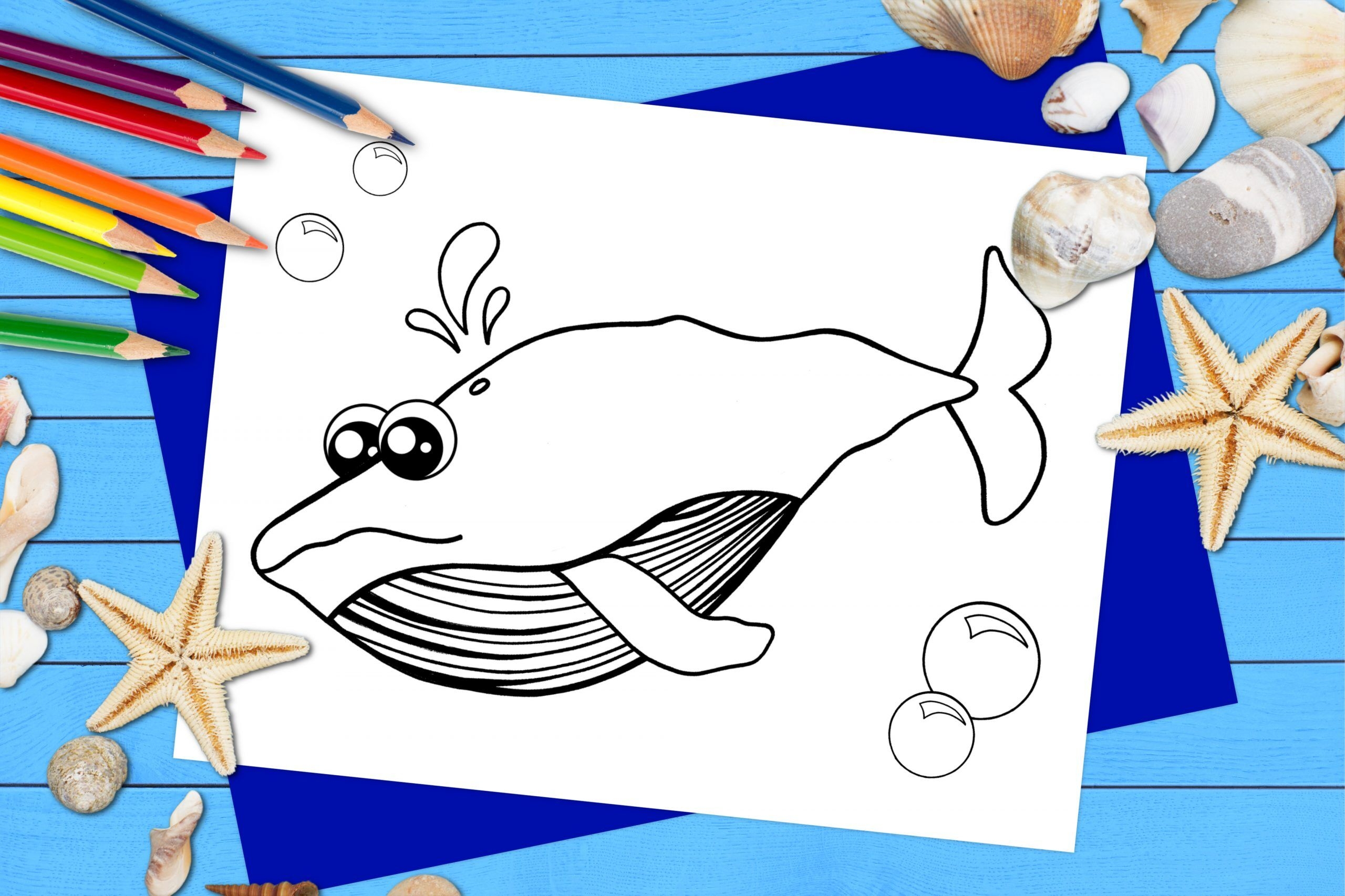 blue whale coloring page