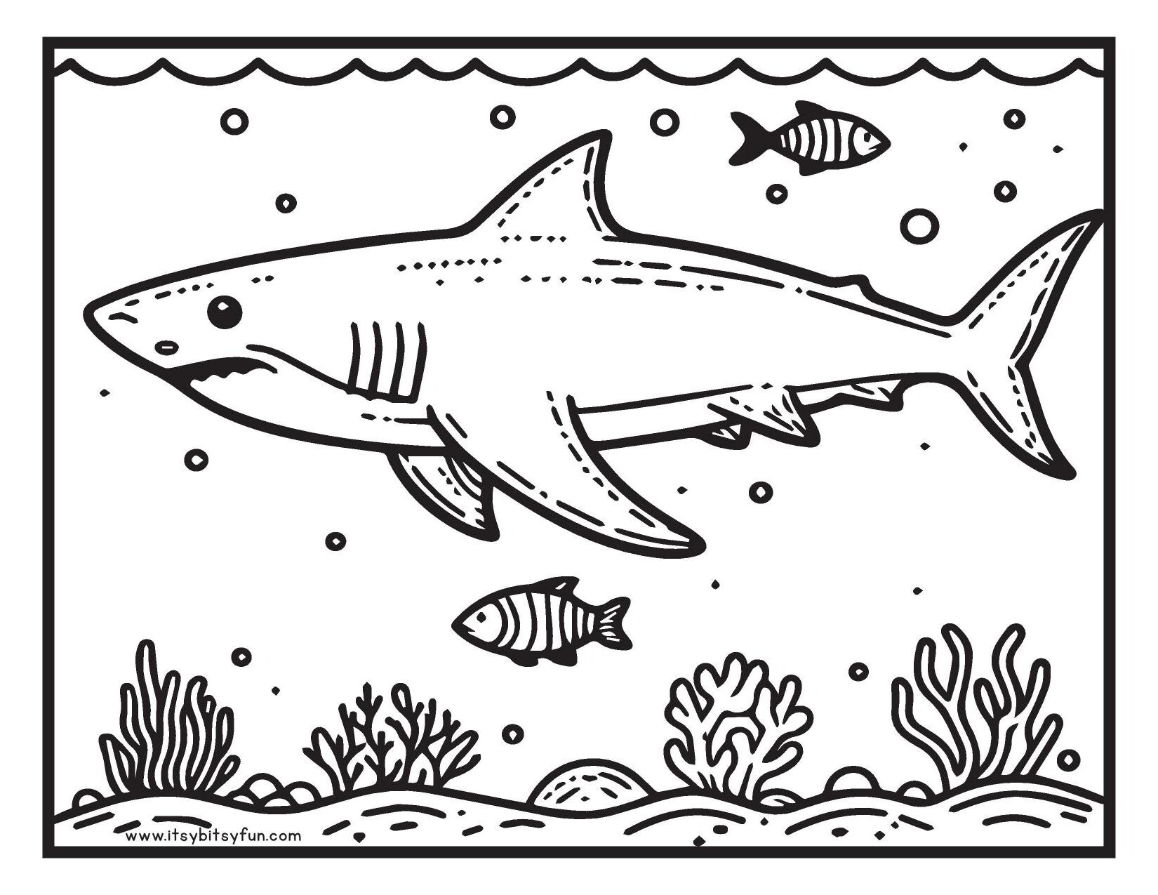 free printable shark coloring pages