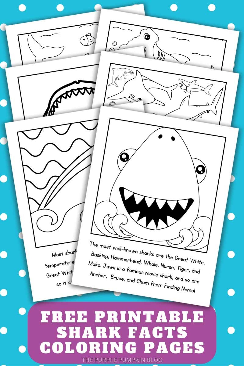 Free Printable Shark Coloring Pages Shark Colouring Pages 
