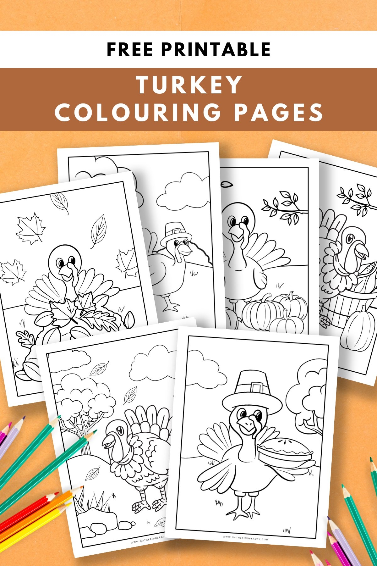 printable turkey coloring sheet