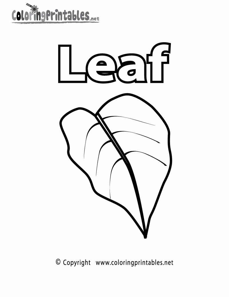 Free Printable Vocabulary Leaf Coloring Page