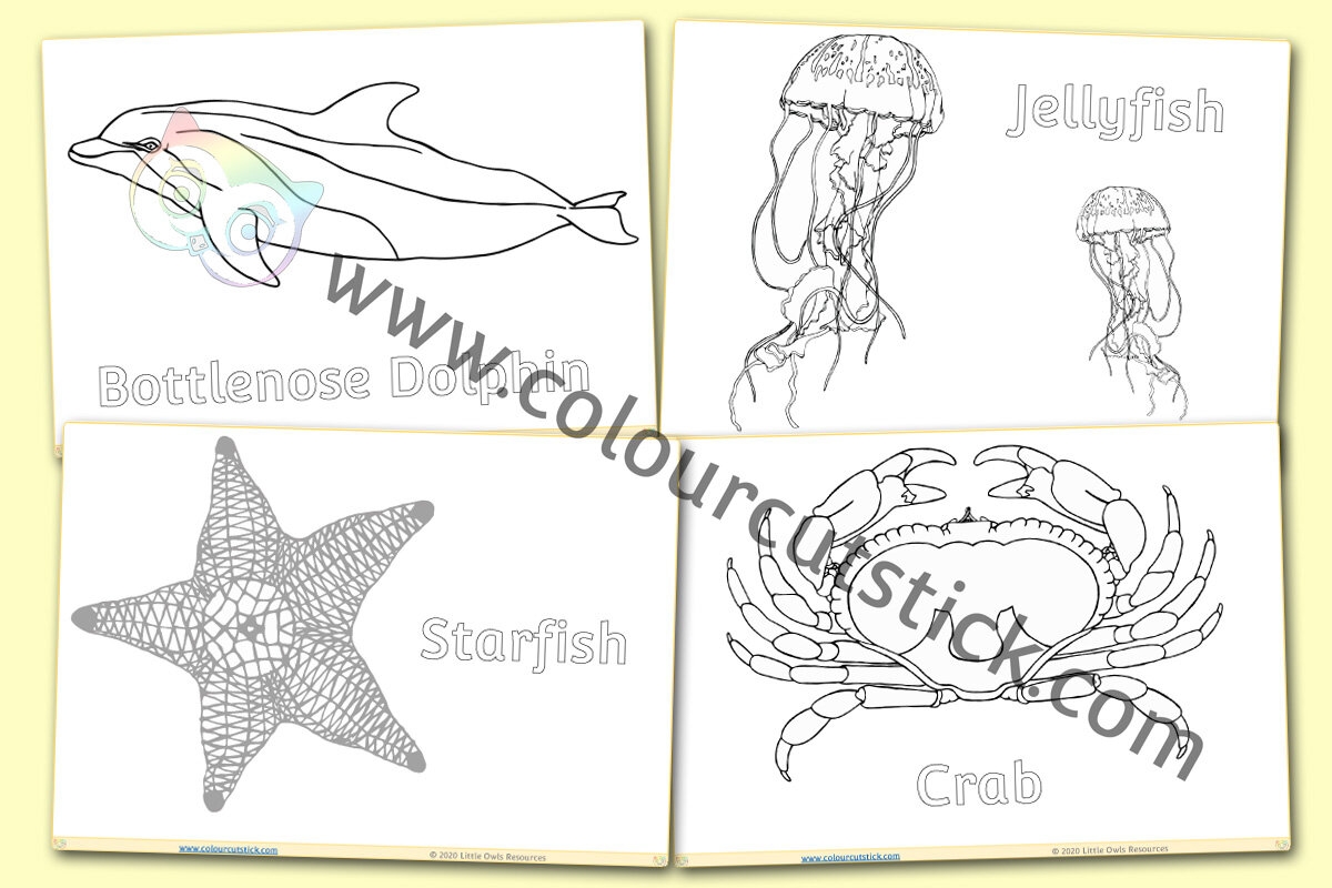 realistic sea animal coloring pages