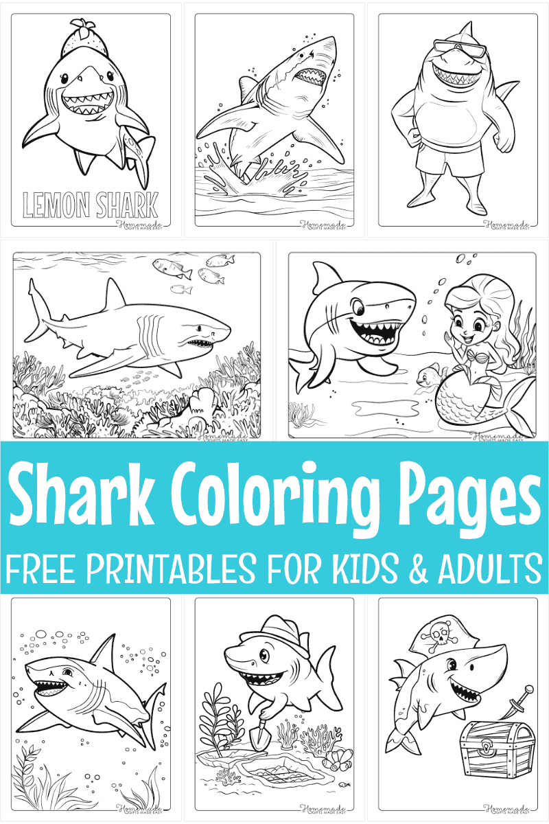shark coloring pages printable pdf