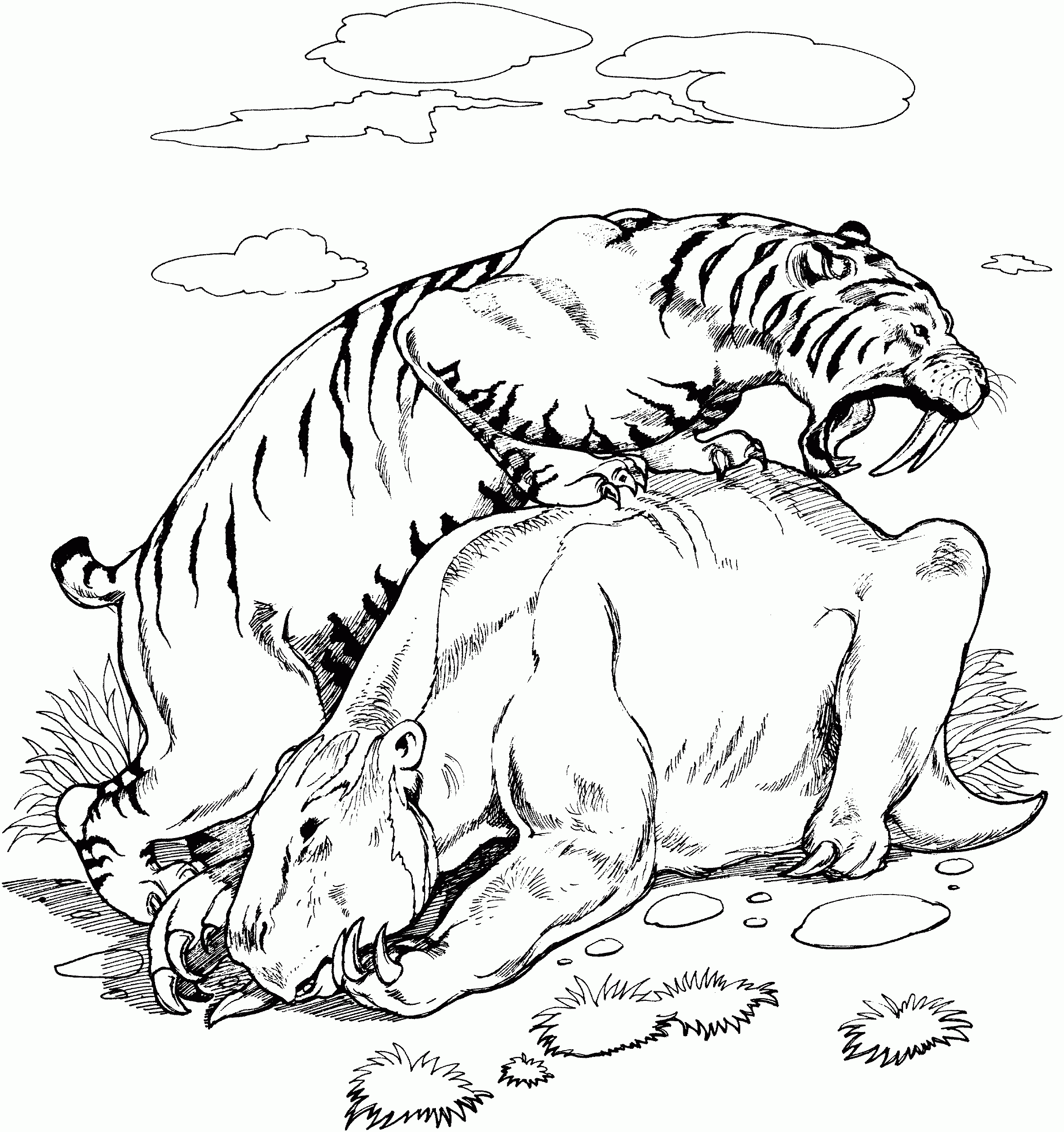 coloring page tiger