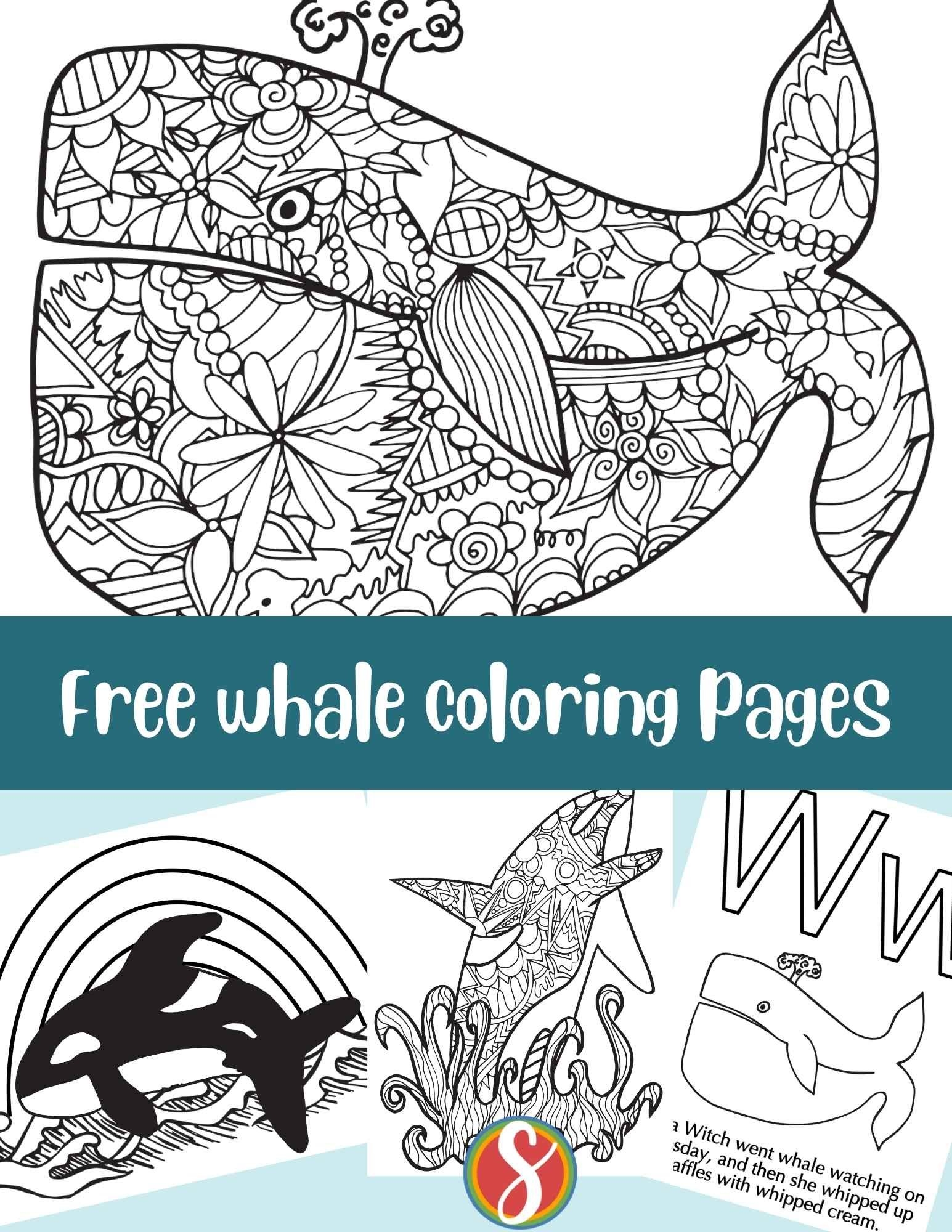 Free Whale Coloring Pages Stevie Doodles