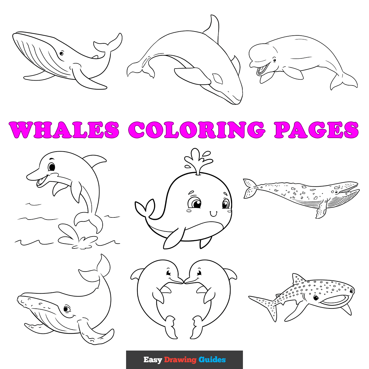 Free Whales Coloring Pages For Kids 10 Printable Sheets