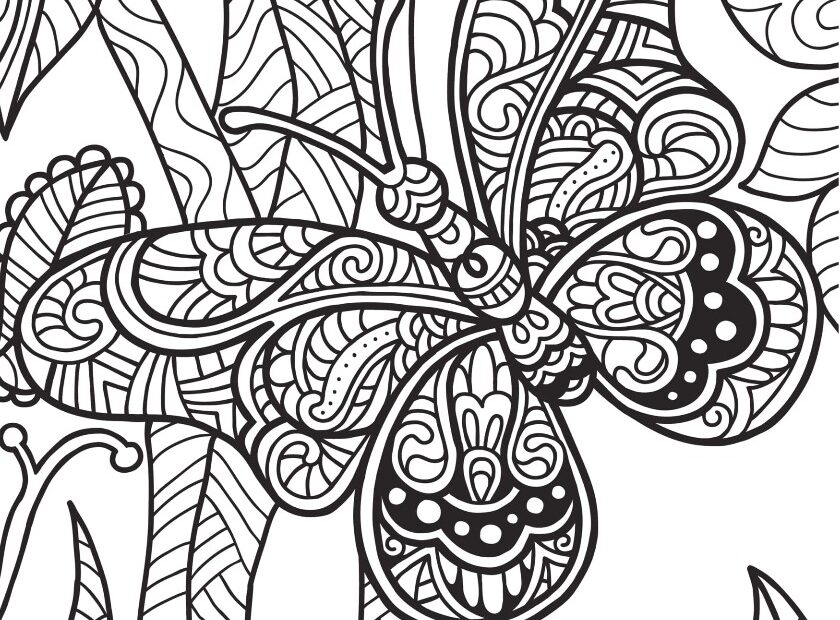 Freebie Friday Wild Animals Adult Coloring Book TY Page