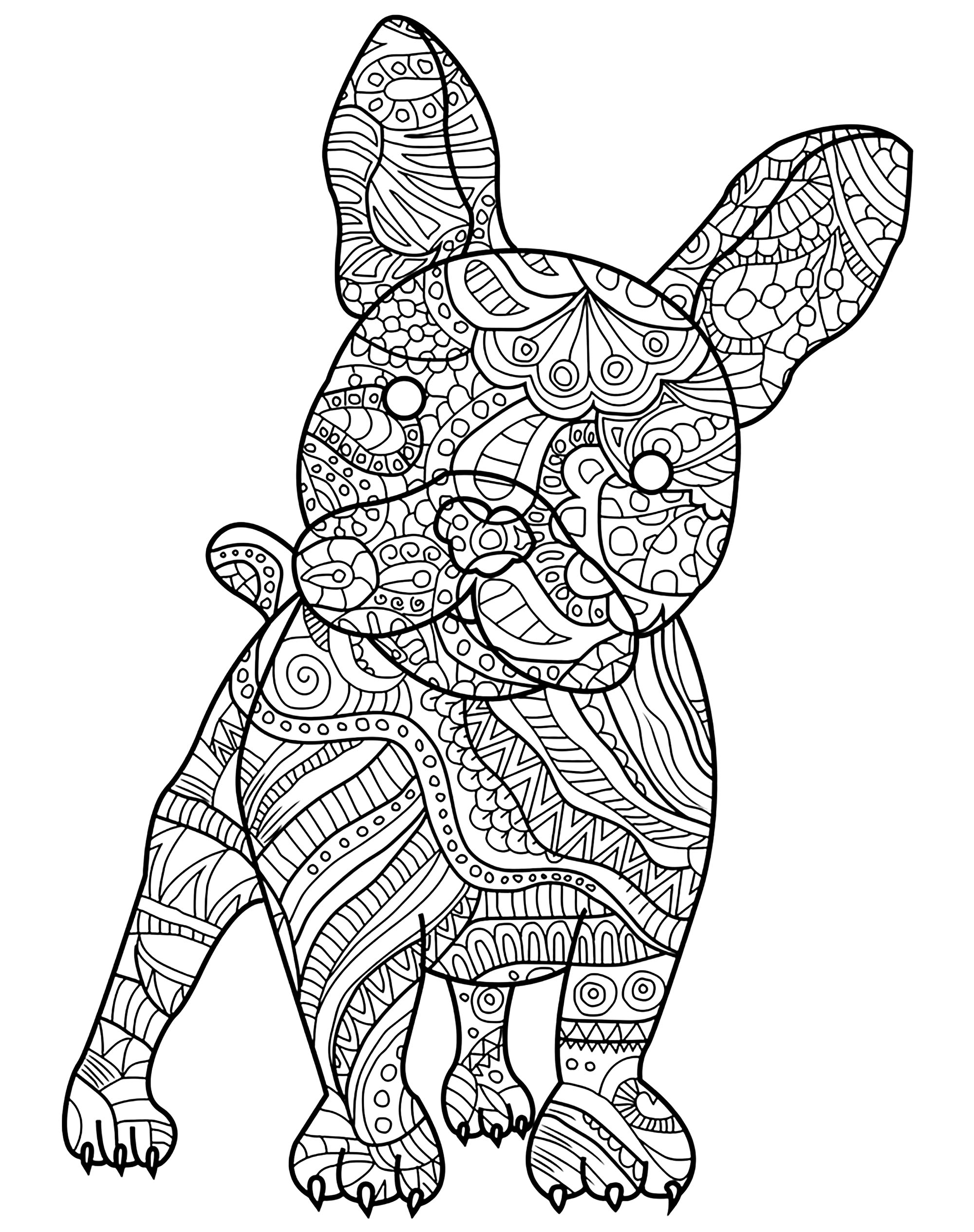 bulldog coloring pictures