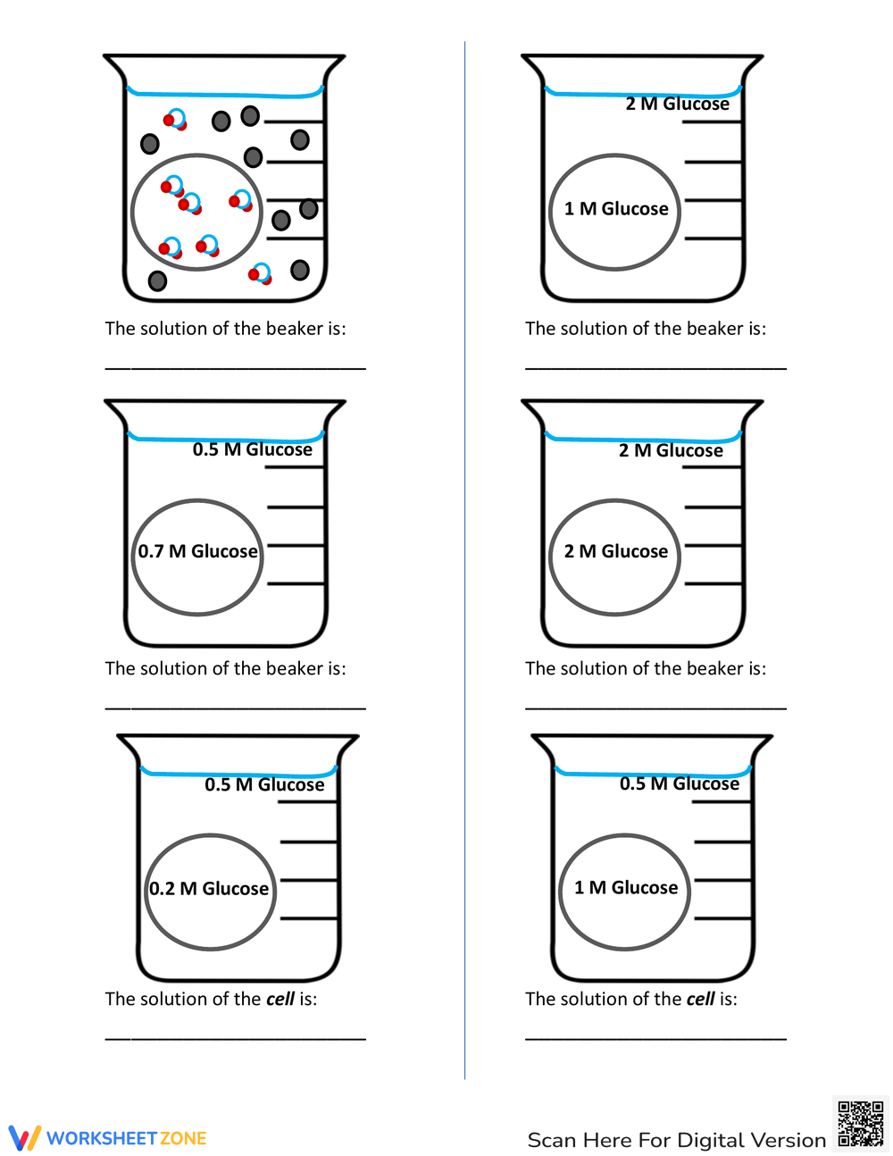 Grade 6 Osmosis And Tonicity Worksheets U0026 Printable
