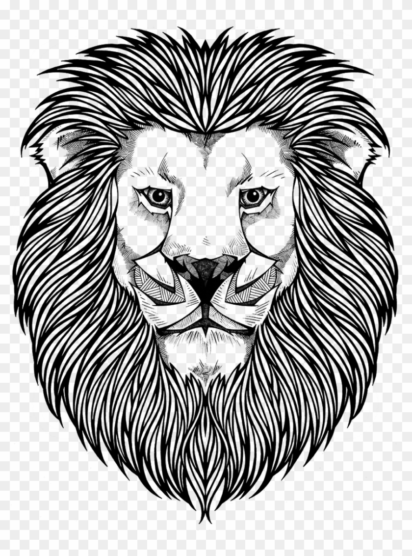 Grow Lion Head Coloring Page Free Transparent PNG Clipart 