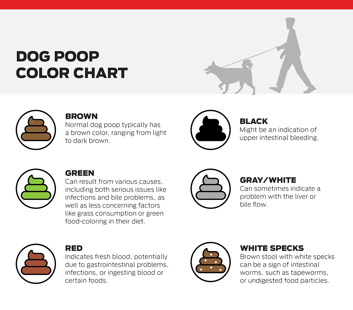 dog stool color