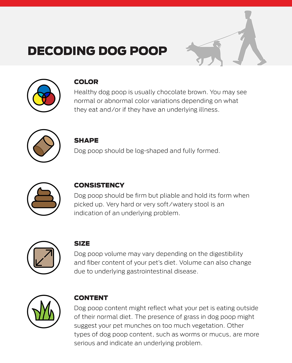 dog diarrhea color