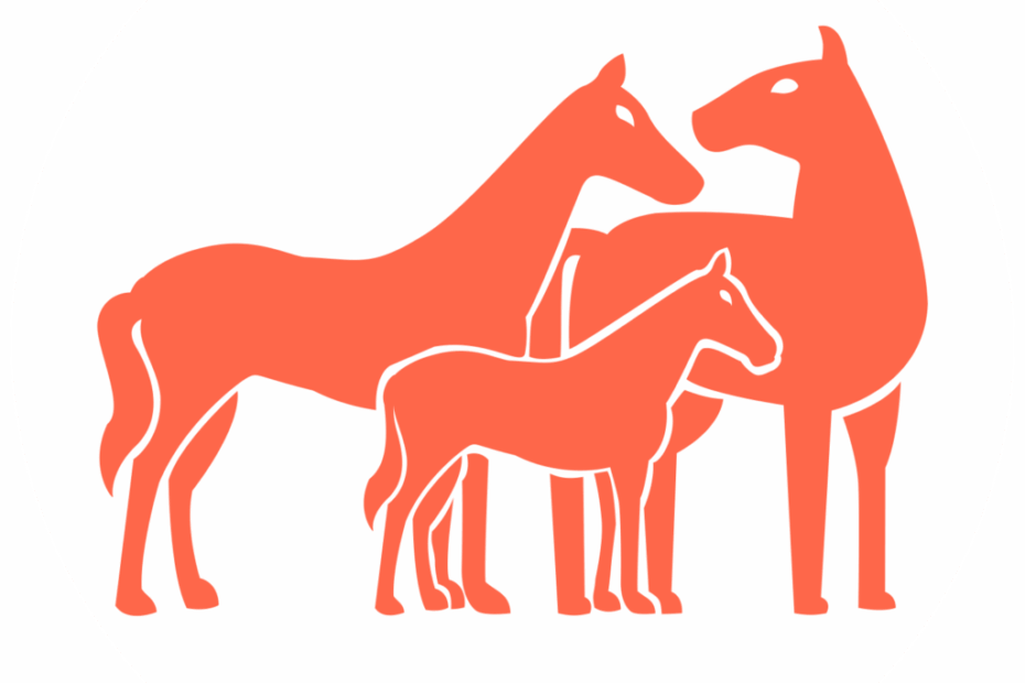 Horse Coat Color Calculator Animal Genetics