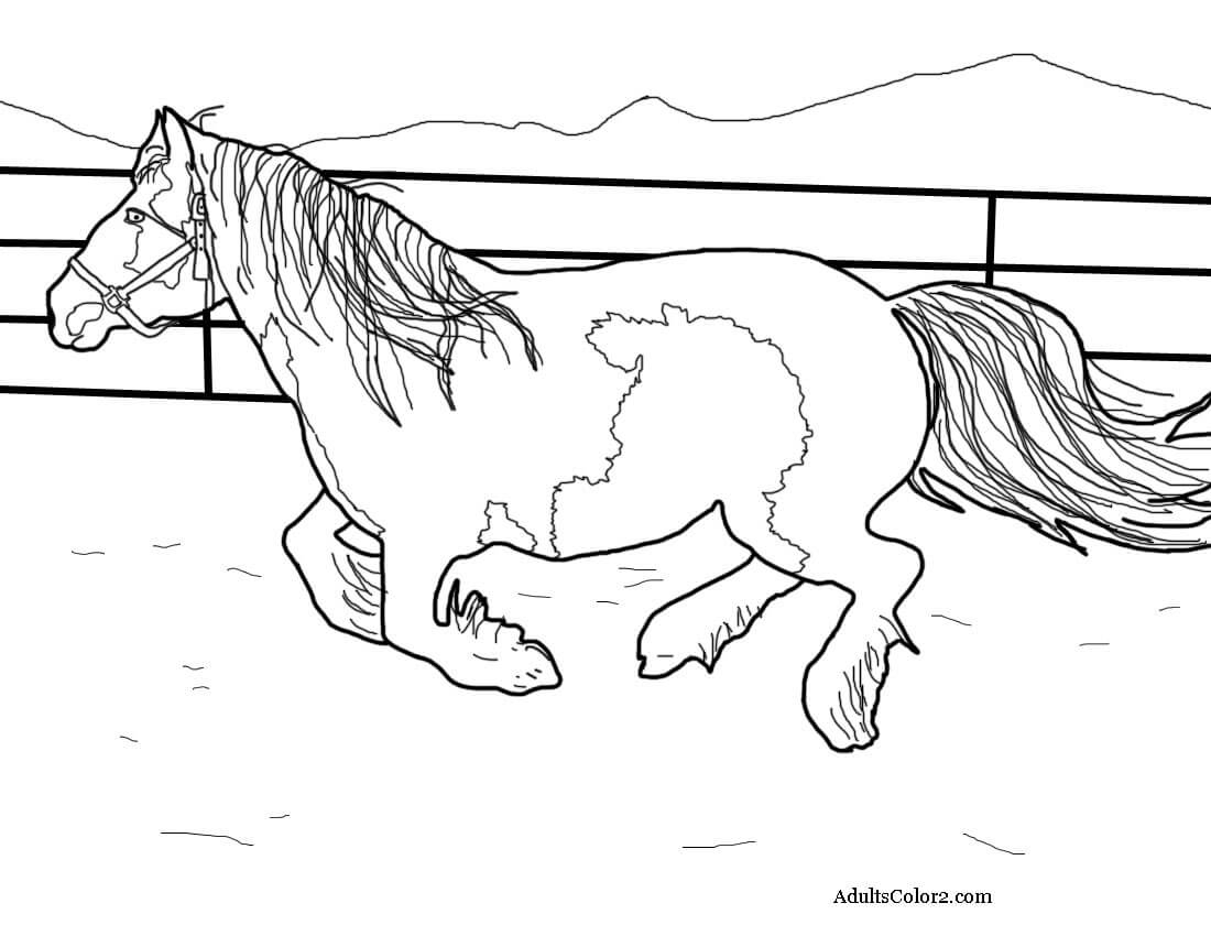 realistic horse coloring pictures