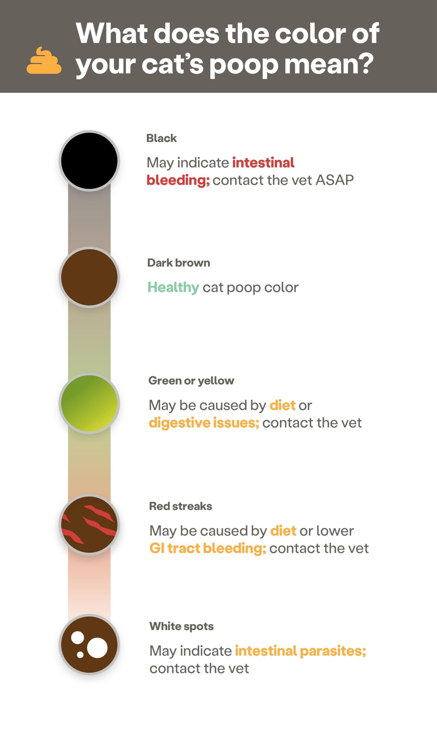 How Often Do Cats Poop What s Normal And What s Not 