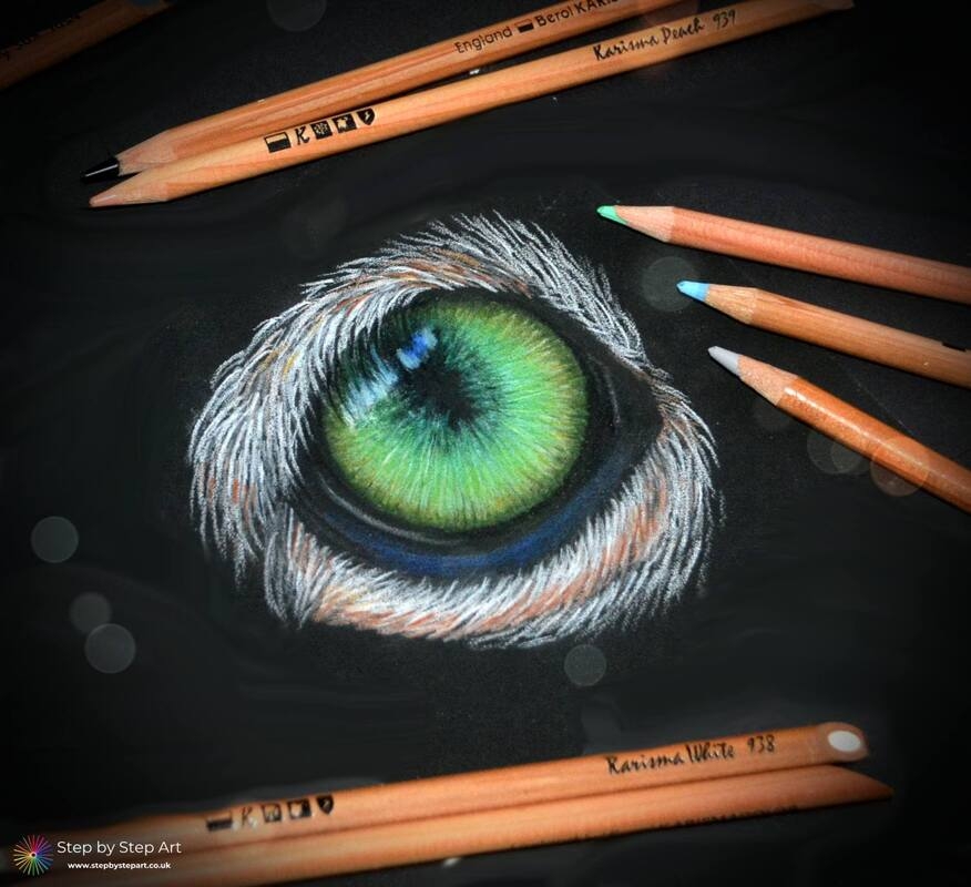 leopard animal eyes oil pastel color