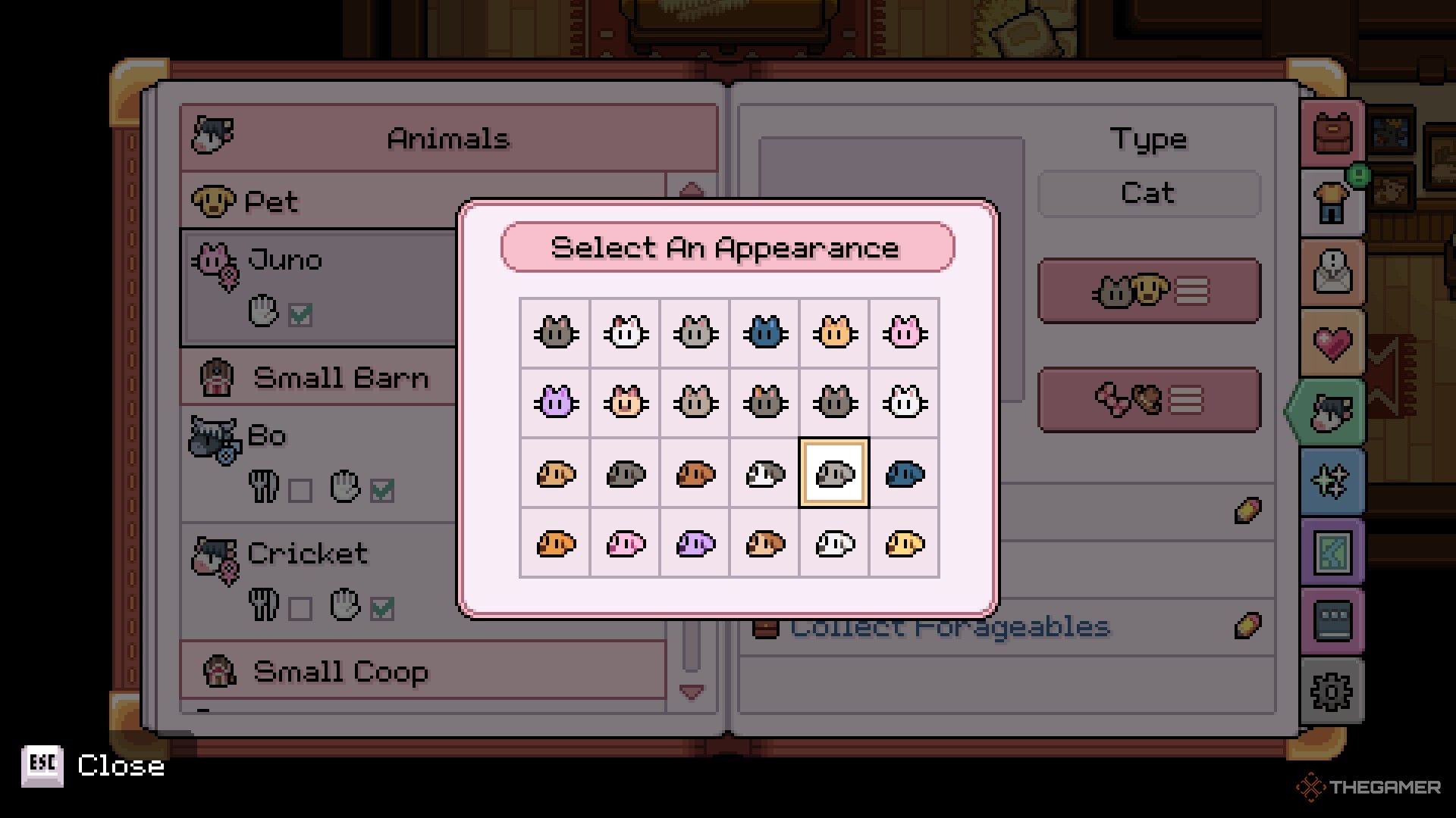 How To Get A Pet In Fields Of Mistria